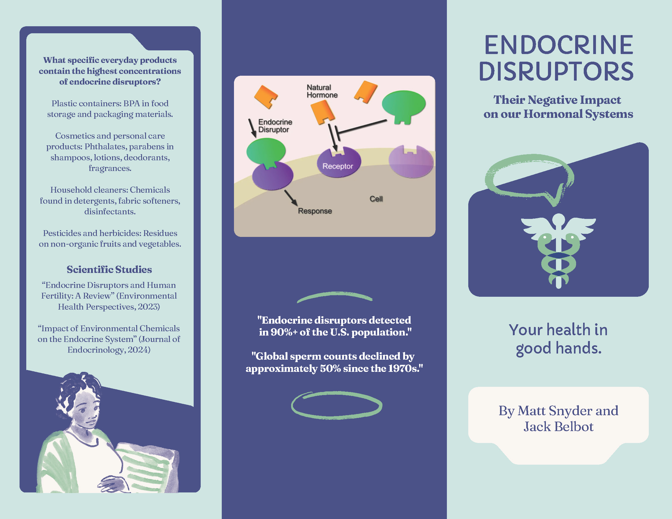 Endocrine Disruptors: Their Negative Impact on Our Hormonal Systems By Matt Snyder and Jack Belbot This trifold highlights the health risks of endocrine disruptors—chemicals that interfere with hormone function. Common sources include: Plastic containers (BPA) Cosmetics and personal care items (phthalates, parabens) Household cleaners Pesticides on non-organic produce Scientific findings show these disruptors are present in over 90% of the U.S. population and are linked to a 50% global decline in sperm counts since the 1970s. The trifold stresses awareness and caution around everyday exposure to these harmful substances. Diagram of hormone disruption (center panel): A simplified diagram showing how endocrine disruptors mimic or block natural hormones by binding to cellular receptors, altering biological responses. Caduceus medical symbol illustration (right panel): A stylized image of a medical caduceus symbol with the phrase “Your health in good hands,” suggesting health advocacy. Illustration of woman reading (left panel): A stylized drawing of a woman holding a book or magazine, reinforcing the importance of consumer awareness and education.