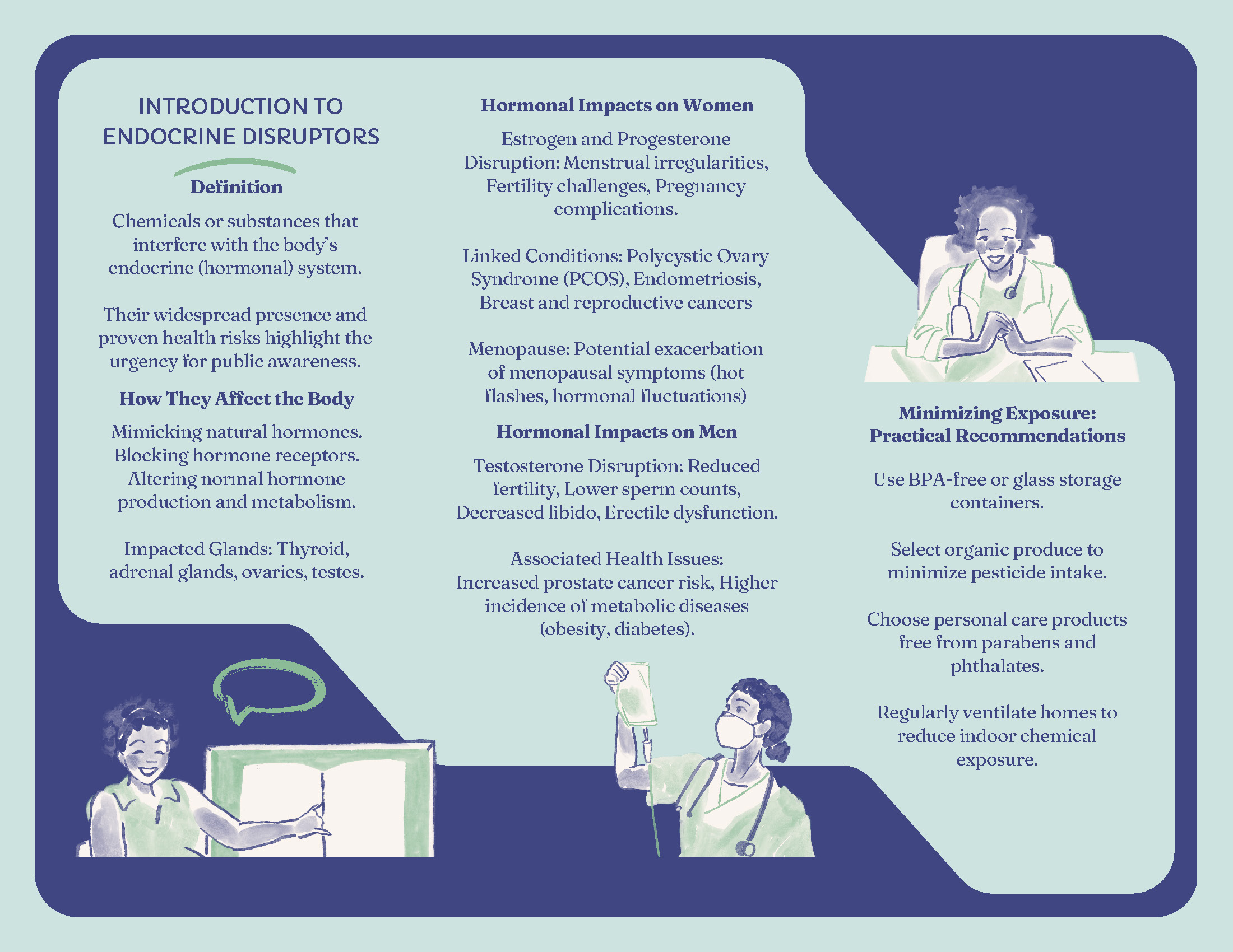 This page explains what endocrine disruptors are and how they affect the body by mimicking hormones, blocking receptors, or altering production. The glands most impacted include the thyroid, ovaries, testes, and adrenal glands. Health Impacts: In Women: Disrupt estrogen and progesterone, causing menstrual issues, fertility problems, pregnancy complications, PCOS, endometriosis, and breast cancer risks. In Men: Lower testosterone, reduced sperm count, decreased libido, erectile dysfunction, increased risk of prostate cancer and metabolic diseases. Practical Ways to Reduce Exposure: Use BPA-free or glass containers Choose organic produce Avoid products with parabens and phthalates Ventilate indoor spaces regularly Bottom left (Child learning illustration): A cartoon-style drawing of a child raising their hand and smiling, representing curiosity and engagement in learning about health. Top right (Female doctor illustration): Illustration of a smiling healthcare provider in a lab coat, suggesting medical support and guidance for hormone health. Bottom center (Masked researcher illustration): Drawing of a person wearing a mask and lab coat, holding a clipboard and a bottle