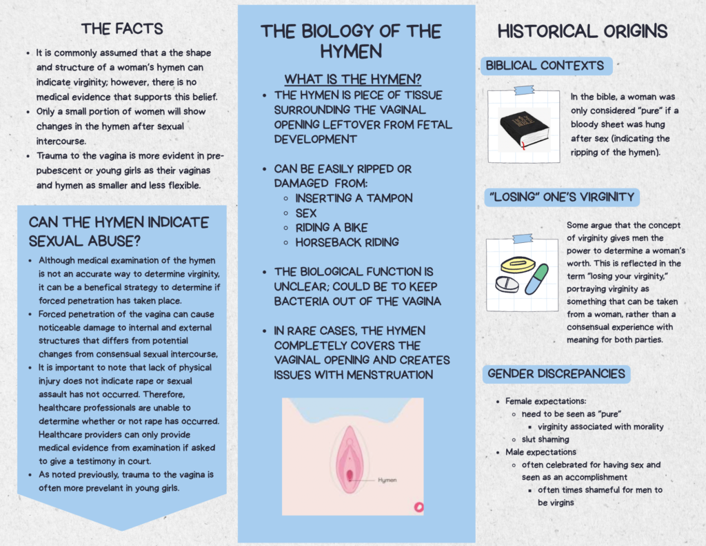 Left Panel: Medical Facts & Trauma Indicators
The leftmost interior panel is divided into two light blue sections. The top section, "THE FACTS," states that hymen structure cannot prove virginity and that vaginal trauma is more evident in younger girls. The bottom section, "CAN THE HYMEN INDICATE SEXUAL ABUSE?", notes that while an examination cannot determine virginity, it can help identify forced penetration. It stresses that a lack of physical injury does not disprove rape or sexual assault, meaning healthcare providers cannot definitively determine if abuse occurred without court-requested testimony.
Center Panel: Biological Overview
The central panel, titled "THE BIOLOGY OF THE HYMEN," features a light blue column. The text defines the hymen as a piece of tissue surrounding the vaginal opening leftover from fetal development. It lists everyday activities that can stretch or tear it, including inserting a tampon, sex, riding a bike, and horseback riding. It notes its biological function is unclear but may keep out bacteria, adding that in rare cases it can completely cover the opening. At the bottom is a simplified anatomical illustration mapping the external female genitalia, labeling the location of the hymen.
Right Panel: Historical and Social Context
The rightmost panel, set against a light gray background, explores "HISTORICAL ORIGINS" across three taped-note graphics:
BIBLICAL CONTEXTS: Features an illustration of a Holy Bible and describes historical practices equating purity with proof of a torn hymen.
"LOSING" ONE'S VIRGINITY: Features an illustration of birth control pills and discusses how the phrase implies a transactional loss rather than a consensual experience.
GENDER DISCREPANCIES: A bulleted list contrasting double standards, noting female expectations of "purity" and morality versus male expectations celebrating sexual activity as an accomplishment.